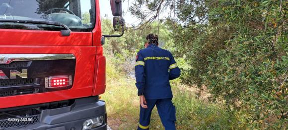 ΦΩΤΟ | Πυρκαγιά στον κόμβο του Γαλατά κινητοποίησε την Πυροσβεστική