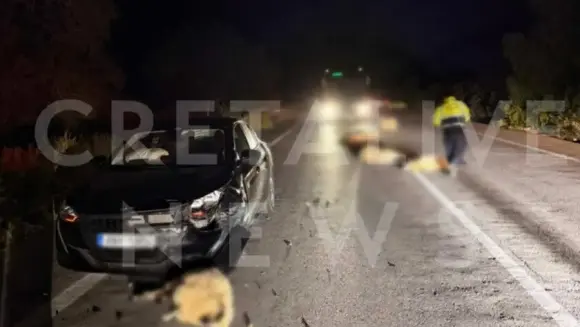 Σκηνικό – σοκ στον ΒΟΑΚ! Αυτοκίνητο παρέσυρε 15 ανεπιτήρητα πρόβατα!