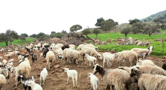 “Αξιίζουμε μια ύπαιθρο όπου κυριαρχεί ο νόμος και όχι ο φόβος”
