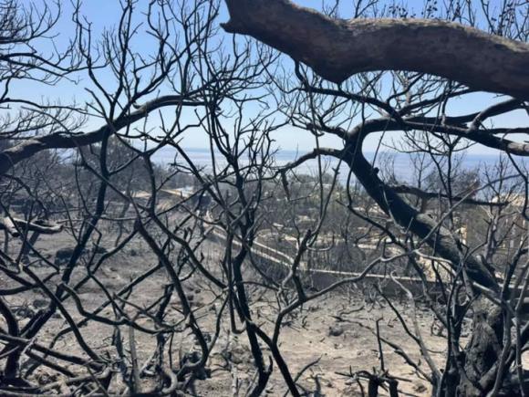 Σε κατάσταση έκτακτης ανάγκης ο Δήμος Ιεράπετρας