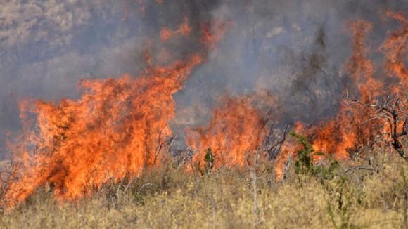 Πρόστιμο σε άνδρα που έκαιγε χόρτα εν μέσω απαγόρευσης!