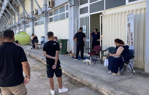 Μεγάλη συμμετοχή στη δράση δωρεάν στειρώσεων και ηλεκτρονικής σήμανσης του Δήμου Χανίων
