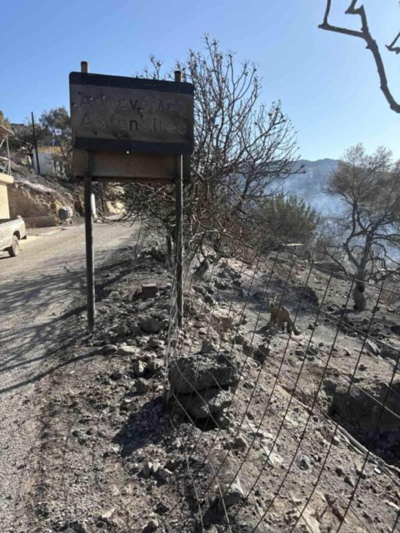 Επιστολή… έκκληση! “Βοηθήστε μας να μην εγκαταλείψουμε το χωριό μας”