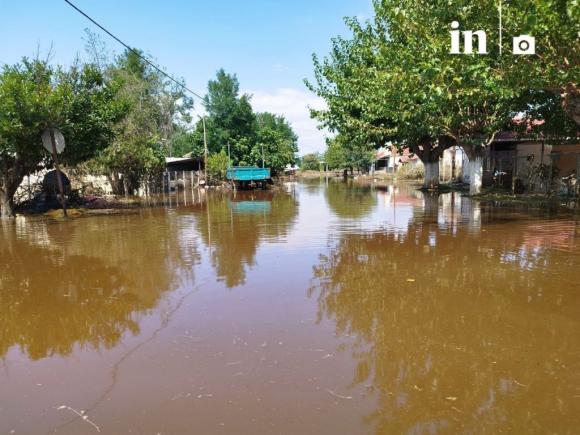 Καταγγελία  Πραγματοποιήθηκαν 42 πλειστηριασμοί στην Θεσσαλία εν μέσω καταστροφής