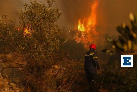 Πυρκαγιές  250 νεκροί στην Ελλάδα σε 25 χρόνια - «Οικολογικά εσφαλμένη η αλλαγή των ειδών χλωρίδας»